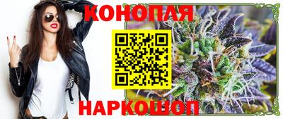 крисы Кохма