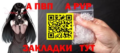 сатива Кузнецк