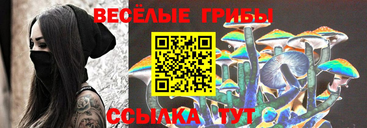 Галлюциногенные грибы Magic Shrooms Вичуга